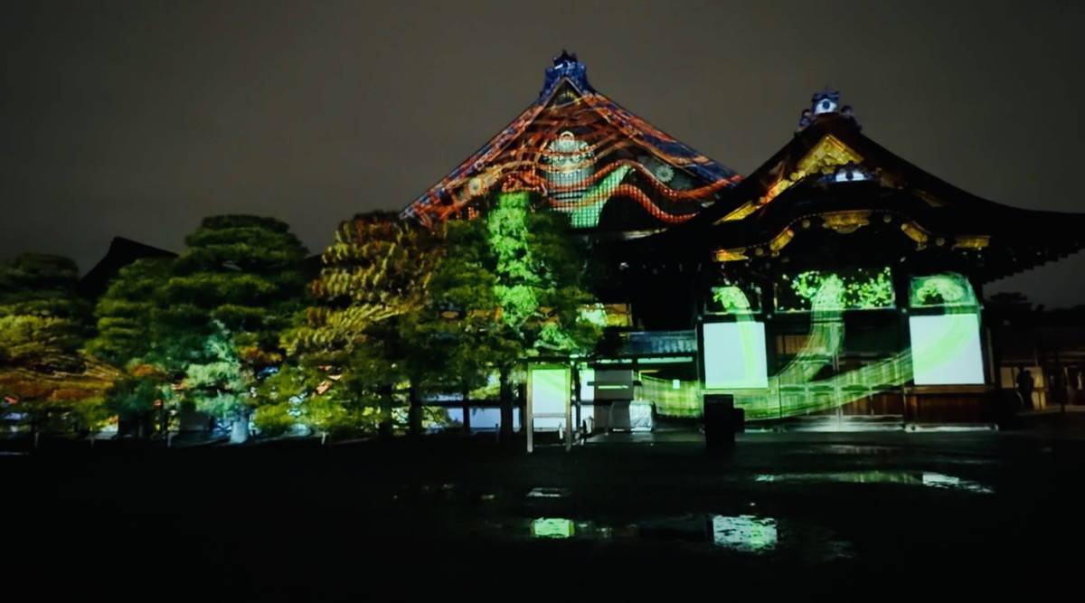 二条城 2026 SAKURA NIGHTS