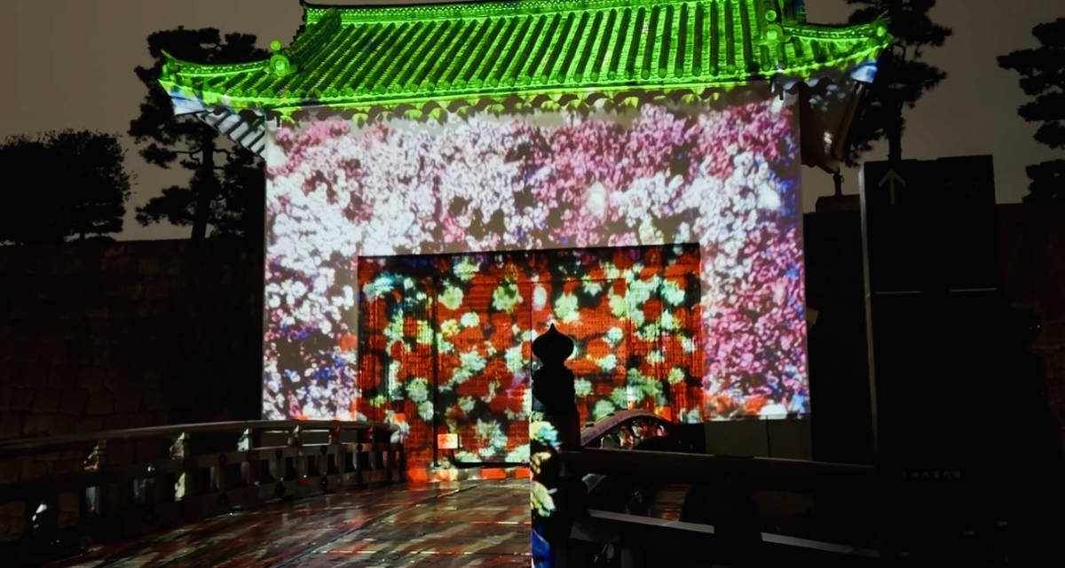 桜と光のプロジェクションマッピング