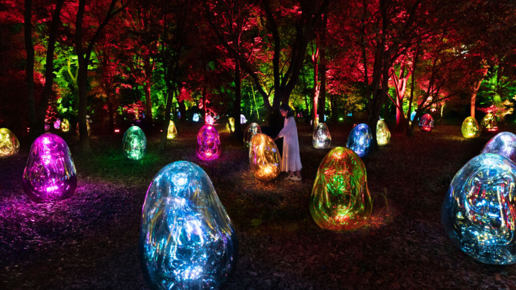 大阪・長居で春限定の夜アート体験！チームラボの桜が輝く幻想イベント