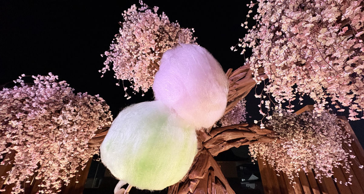 桜と大きな綿菓子で、映え写真