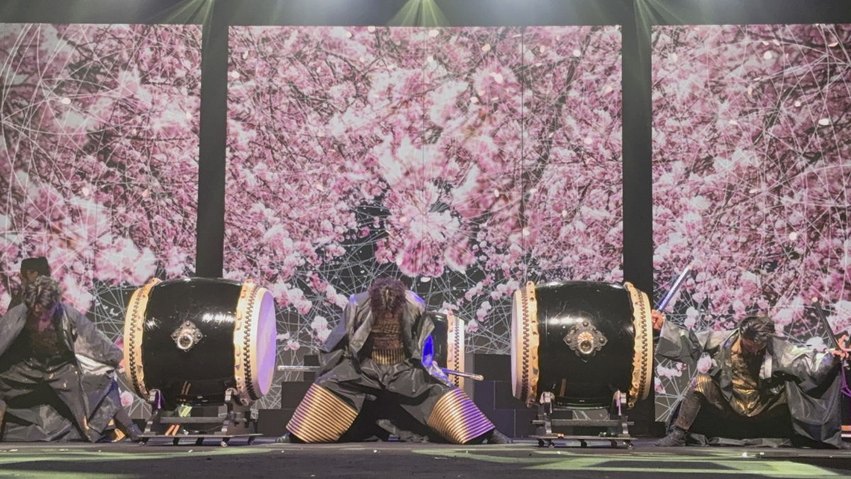 滿開櫻花前的太鼓演出