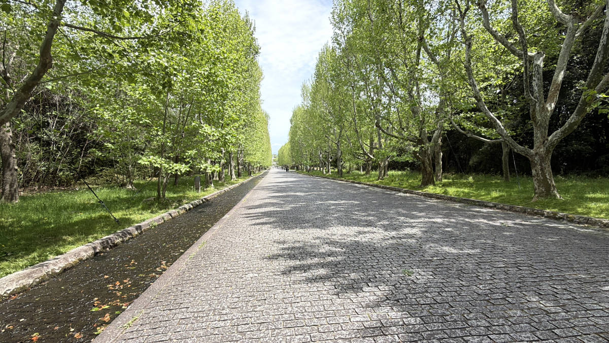 万博公園の自然豊かな景色