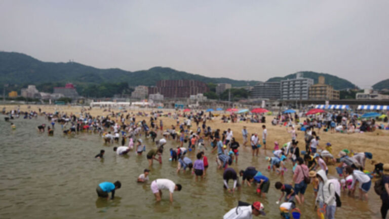 神戸須磨　潮干狩り