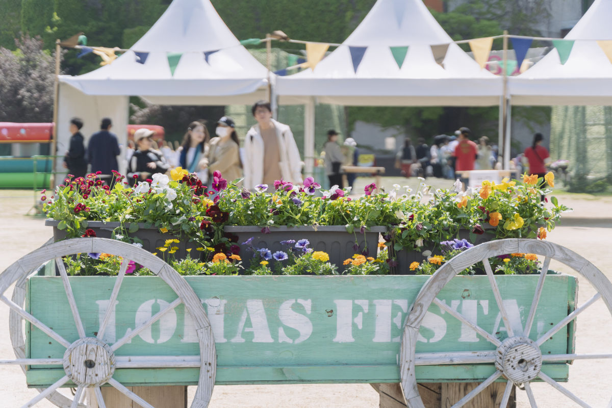 ロハス　ハンドメイド