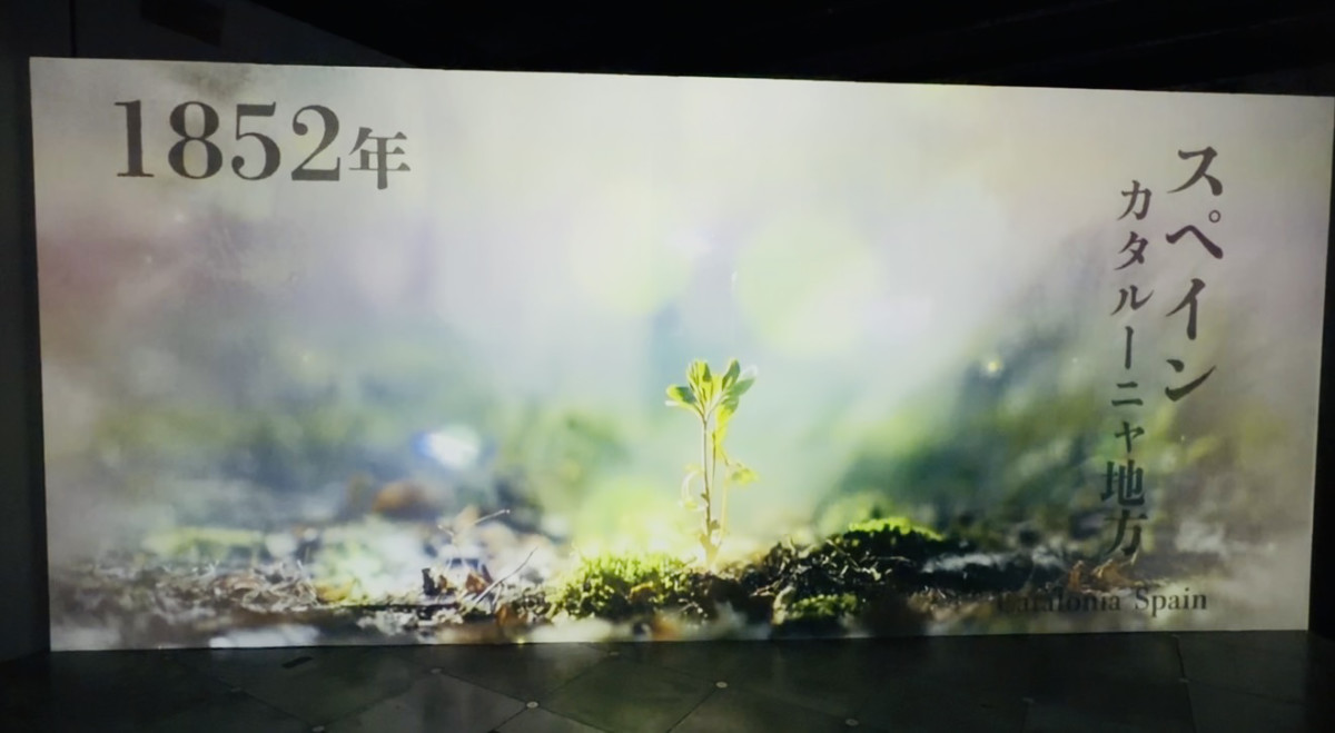 ガウディの幼少期