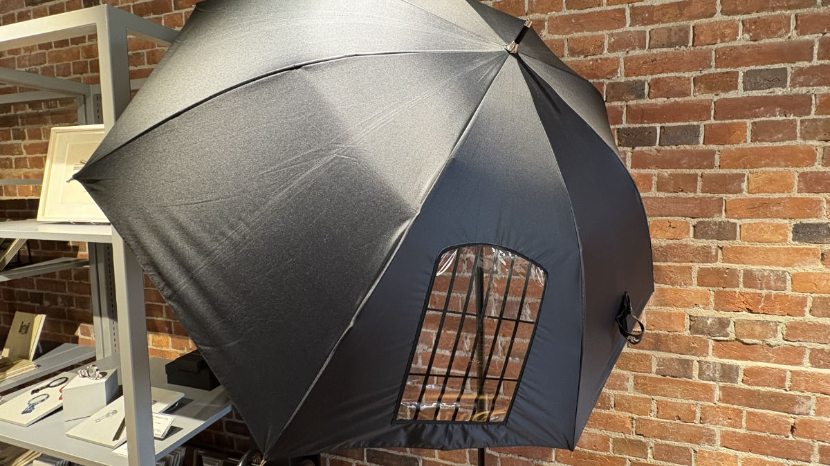 格子の窓から顔を出して歩ける傘