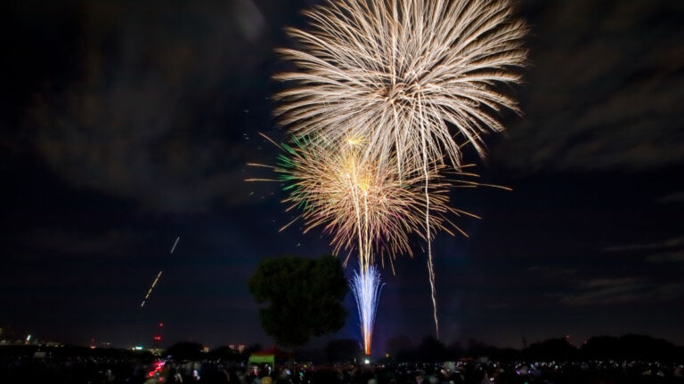 第5回水都くらわんか花火大会2026