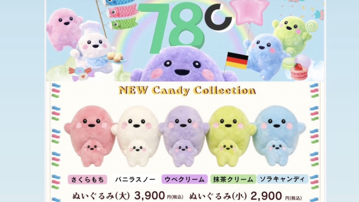 サーキュラー