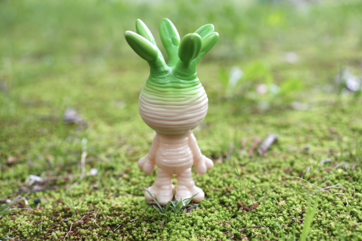 珍奇植物