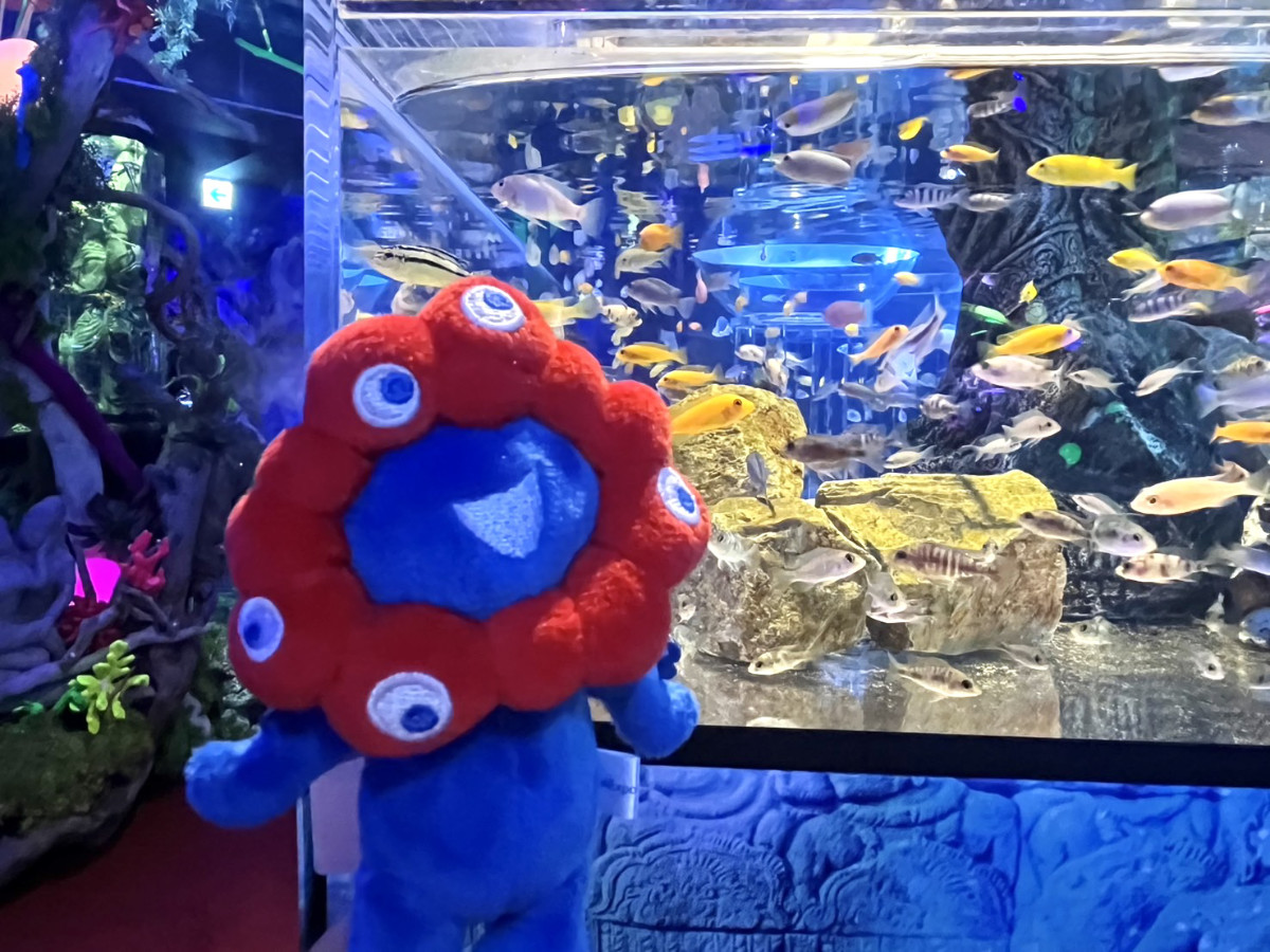 ひらパー　ぬいどり　ミャクミャク