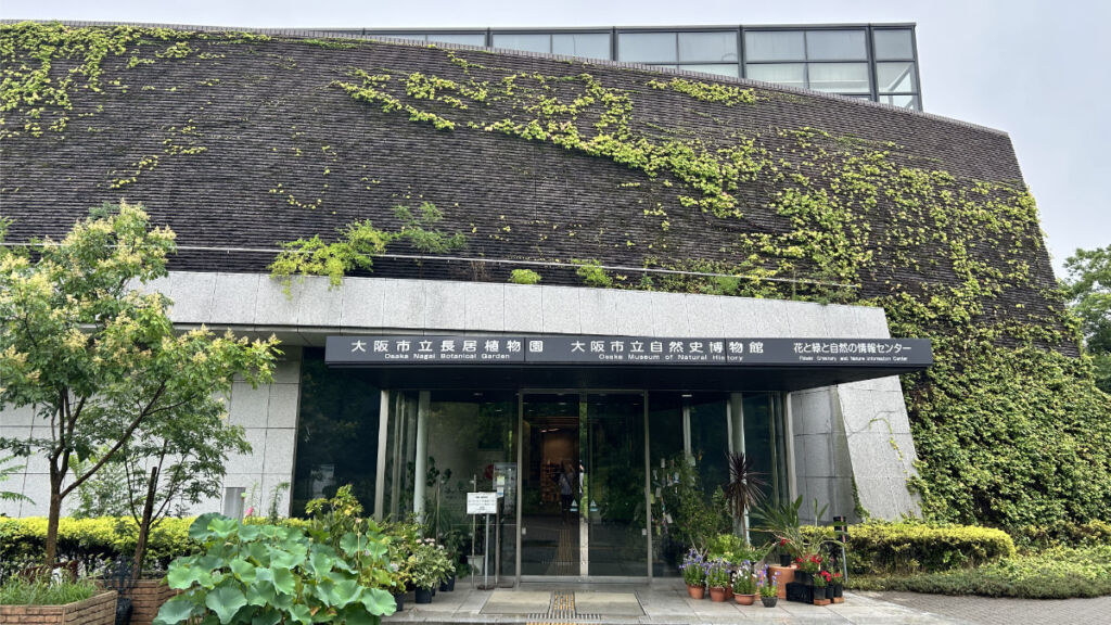 大阪市立自然史博物館