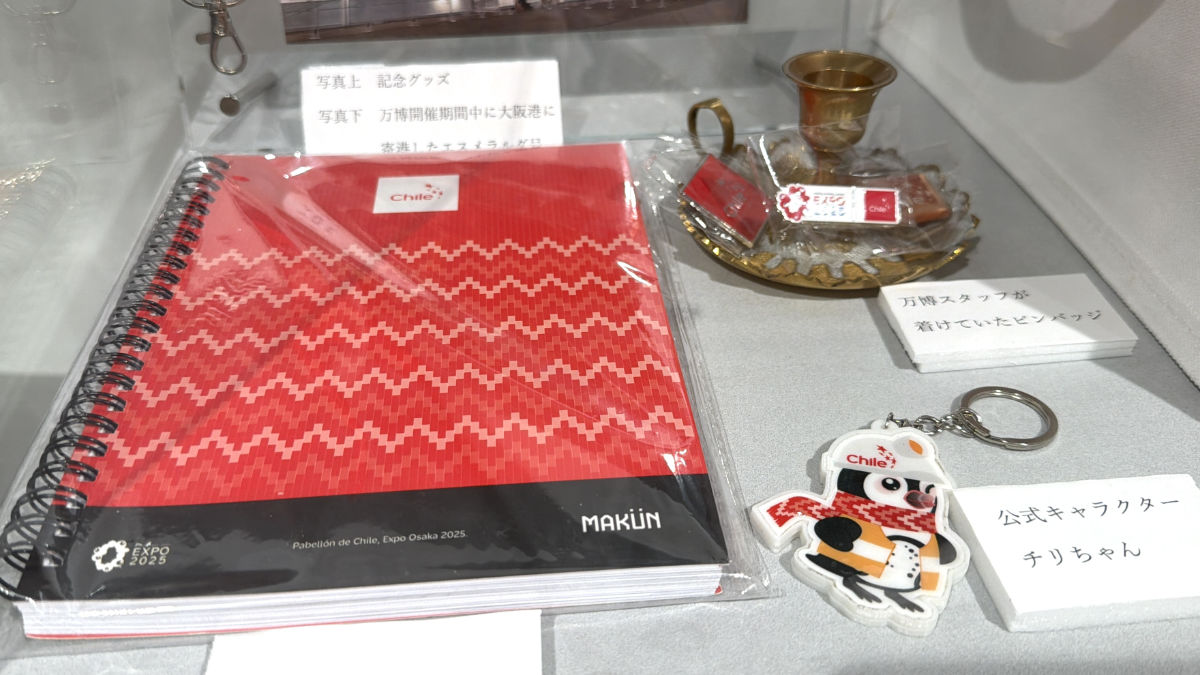 チリ展示