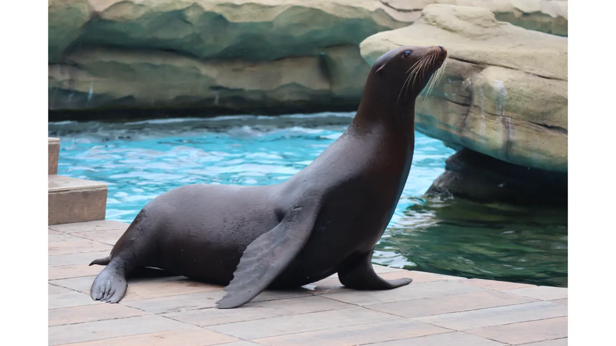 写真提供：天王寺動物園