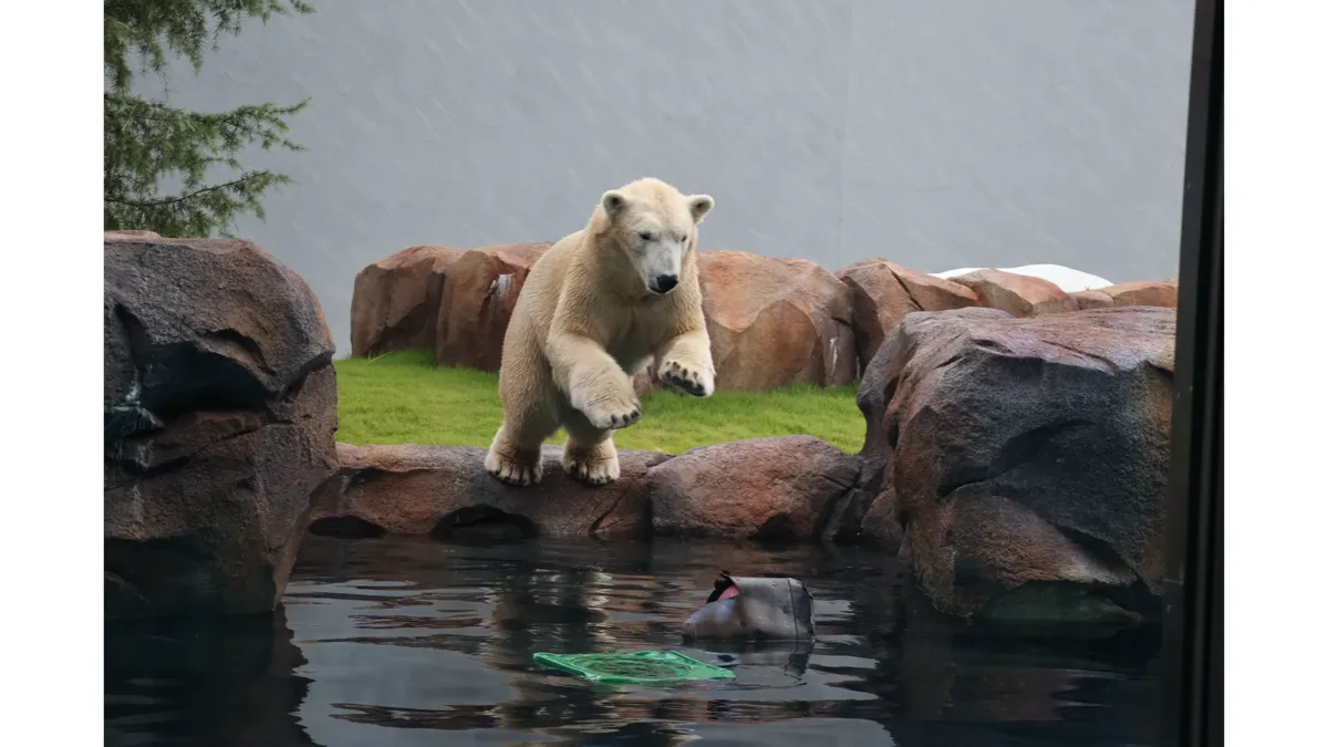 写真提供：天王寺動物園