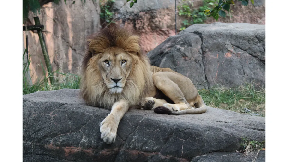 写真提供：天王寺動物園