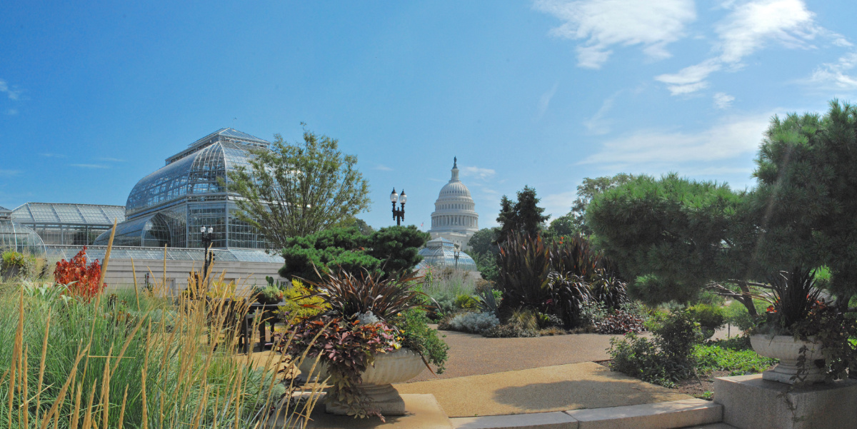 米国植物園