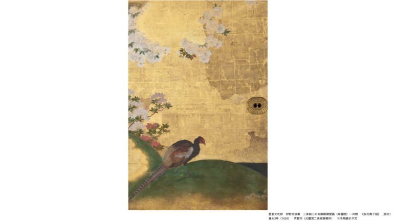 重要文化財　狩野尚信筆　二条城二の丸御殿障壁画〈黒書院〉一の間　《桜花雉子図》（部分） 寛永3年（1626）　京都市（元離宮二条城事務所）　※冬期展示予定