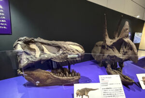 ティラノサウルス