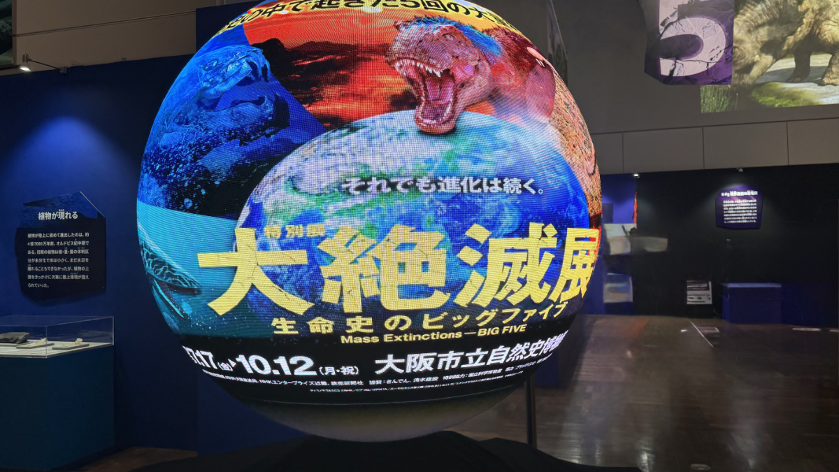 大絶滅スフィア