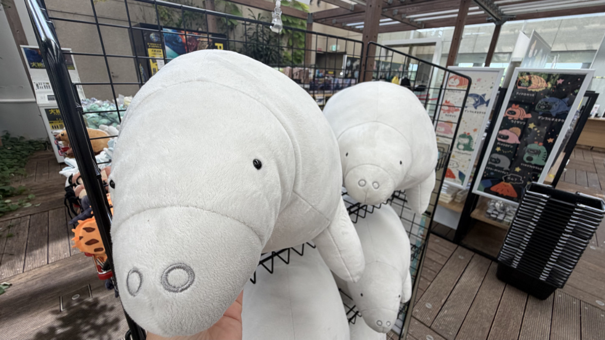 大絶滅展グッズ