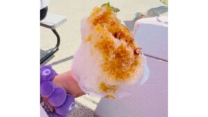 写真10