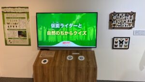 昆虫クイズ