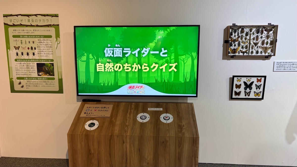 昆虫クイズ