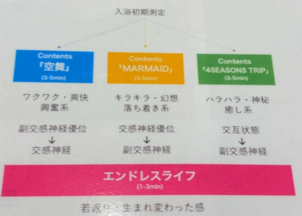 從人類洗衣機內看到的影像
