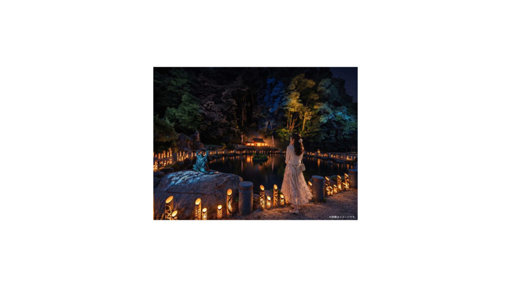 池の縁に竹灯籠が並び、周囲の木々がライトアップされるイメージ