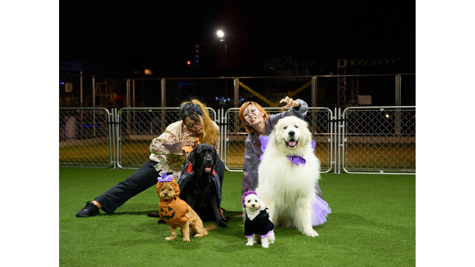 ハロウィンの仮装をした犬たちとゾンビ風の人物が芝生の上で記念撮影